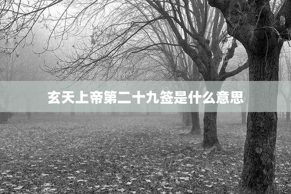 玄天上帝第二十九签是什么意思