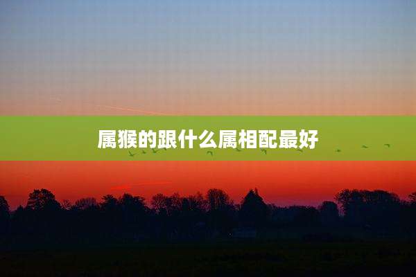 属猴的跟什么属相配最好