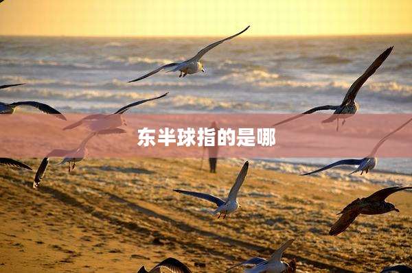 东半球指的是哪