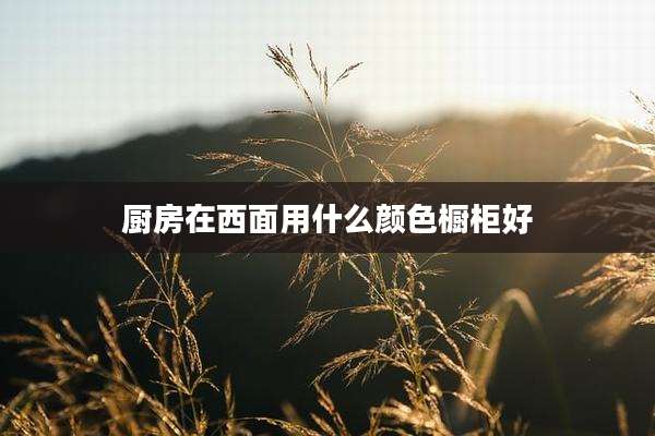 厨房在西面用什么颜色橱柜好