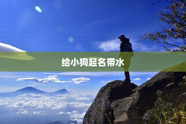 给小狗起名带水