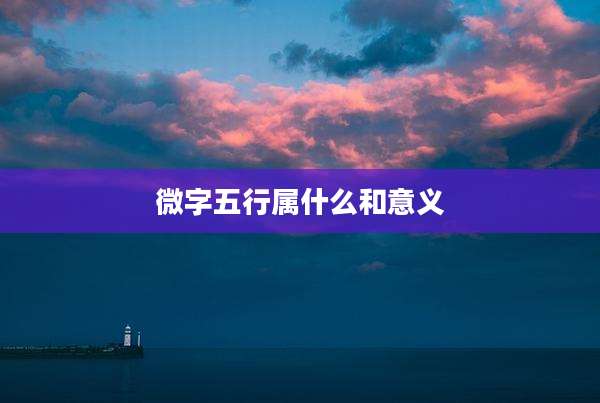 微字五行属什么和意义