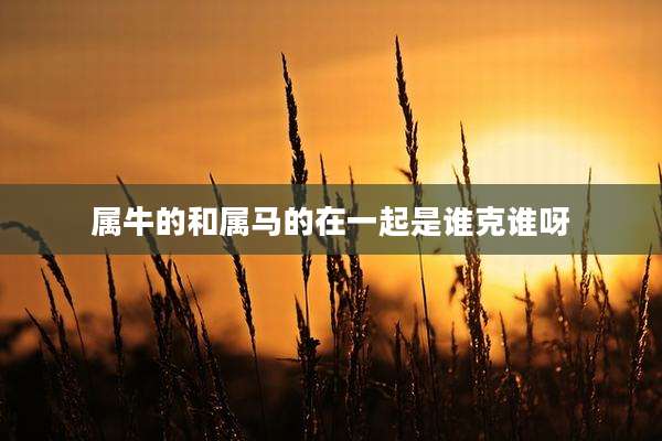 属牛的和属马的在一起是谁克谁呀