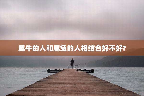 属牛的人和属兔的人相结合好不好?