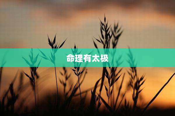 命理有太极