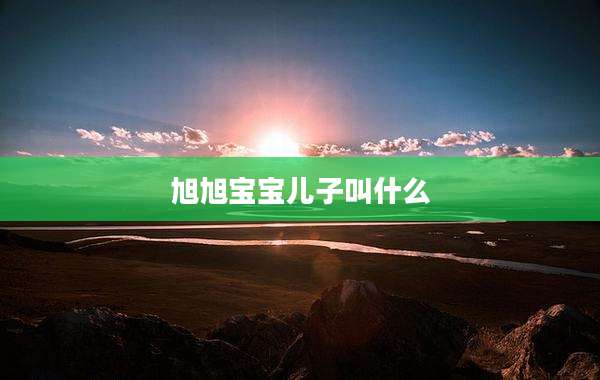 旭旭宝宝儿子叫什么