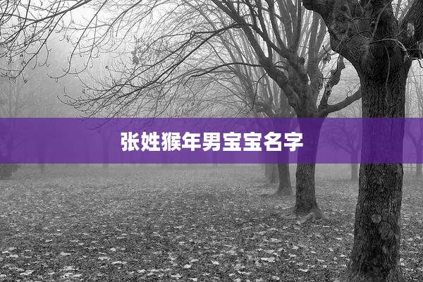 张姓猴年男宝宝名字