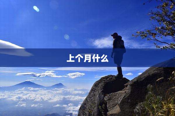 上个月什么