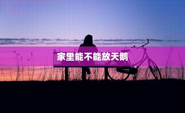 家里能不能放天鹅