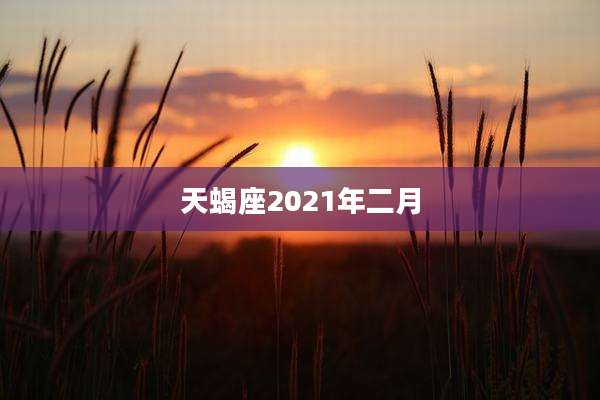 天蝎座2021年二月