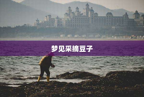 梦见采摘豆子