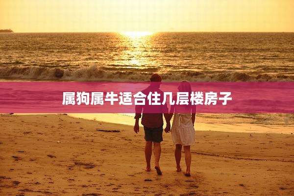 属狗属牛适合住几层楼房子