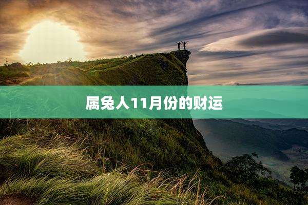 属兔人11月份的财运