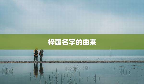梓菡名字的由来