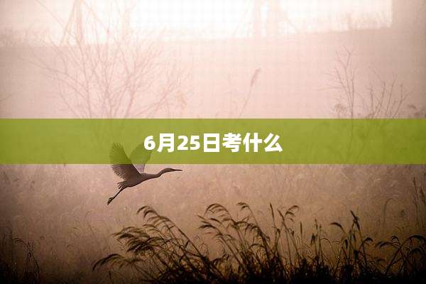 6月25日考什么