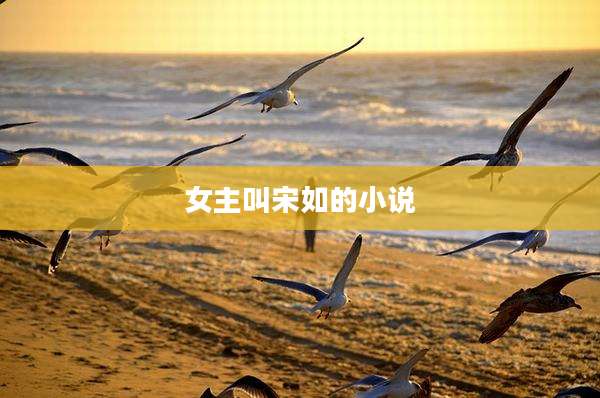 女主叫宋如的小说