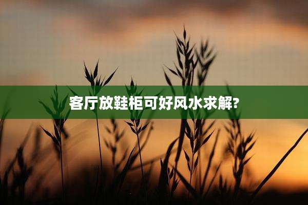 客厅放鞋柜可好风水求解?