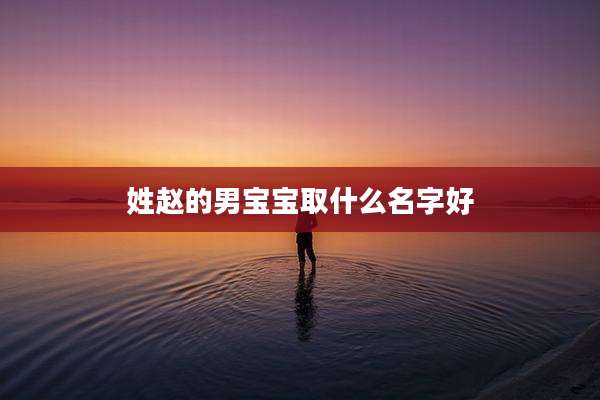 姓赵的男宝宝取什么名字好