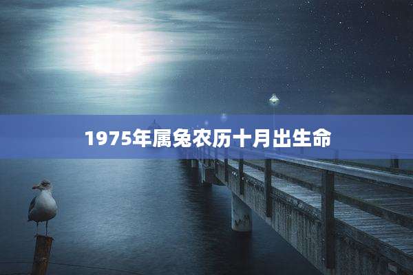 1975年属兔农历十月出生命