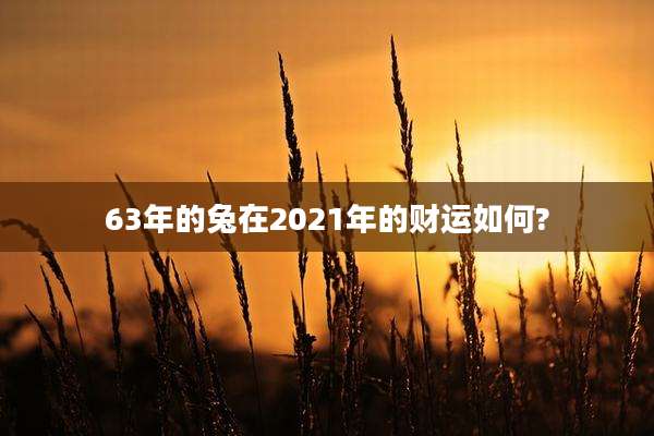 63年的兔在2021年的财运如何?