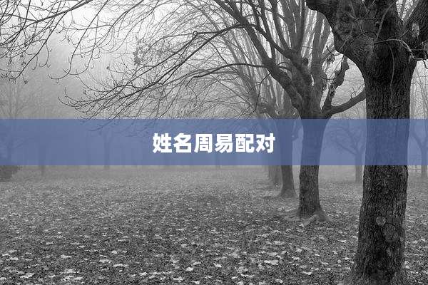 姓名周易配对
