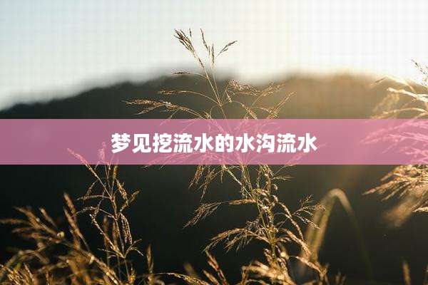 梦见挖流水的水沟流水