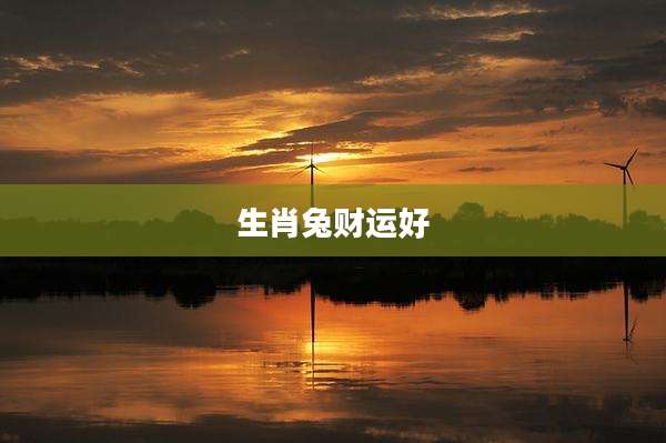 生肖兔财运好