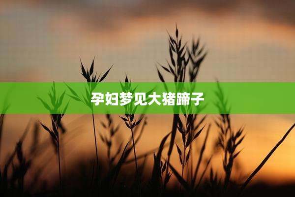 孕妇梦见大猪蹄子