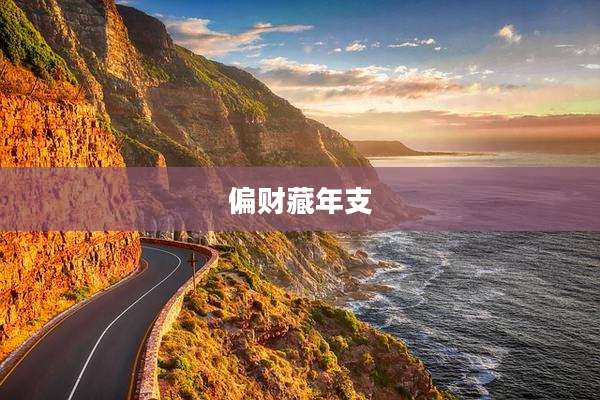 偏财藏年支