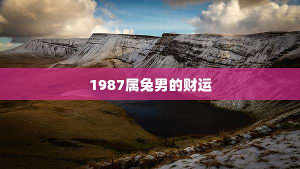 1987属兔男的财运