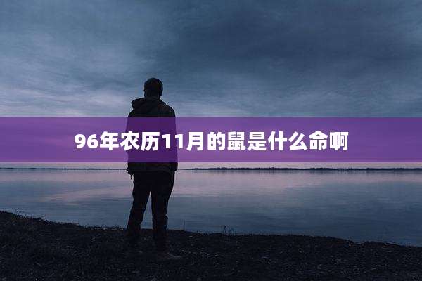 96年农历11月的鼠是什么命啊