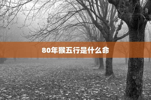 80年猴五行是什么命