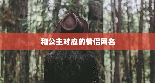 和公主对应的情侣网名