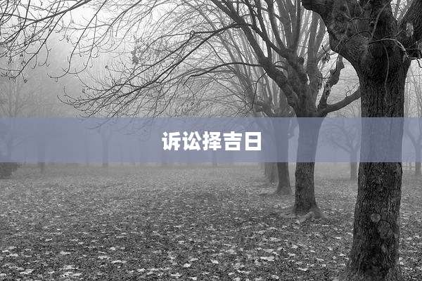 诉讼择吉日