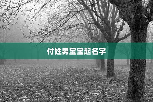 付姓男宝宝起名字