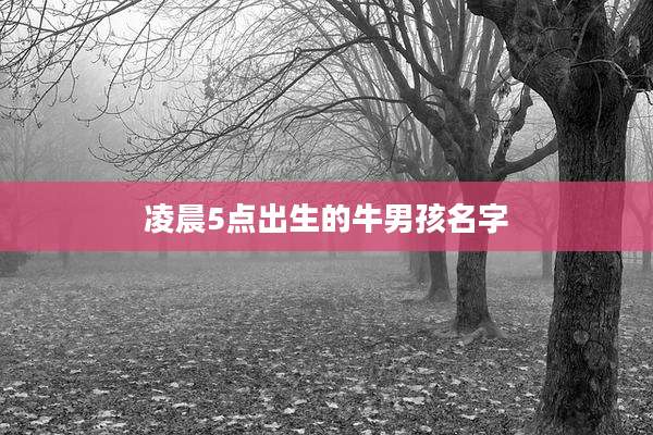 凌晨5点出生的牛男孩名字