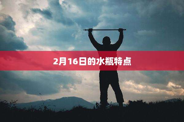 2月16日的水瓶特点