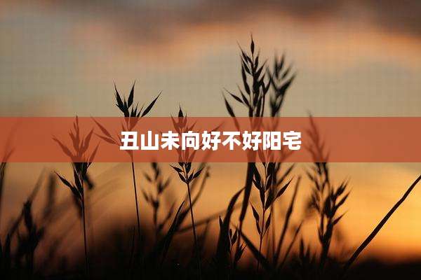丑山未向好不好阳宅
