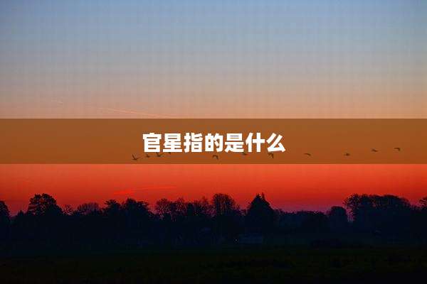 官星指的是什么