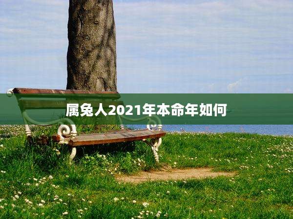 属兔人2021年本命年如何