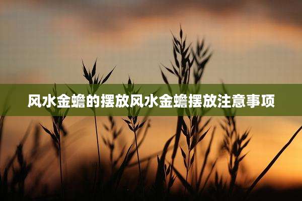风水金蟾的摆放风水金蟾摆放注意事项