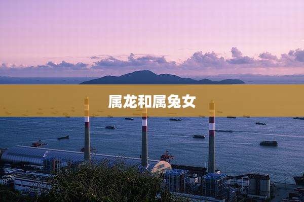 属龙和属兔女