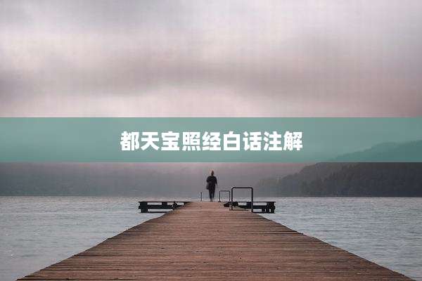 都天宝照经白话注解