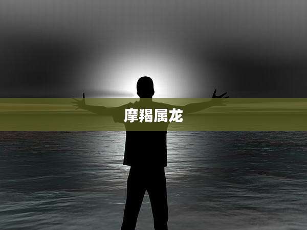 摩羯属龙