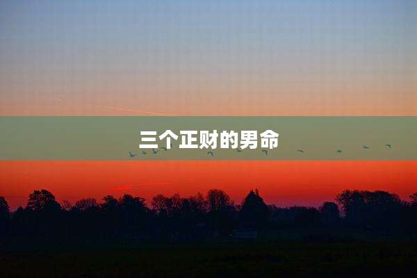 三个正财的男命