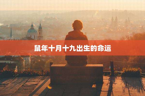 鼠年十月十九出生的命运