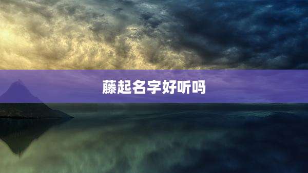 藤起名字好听吗