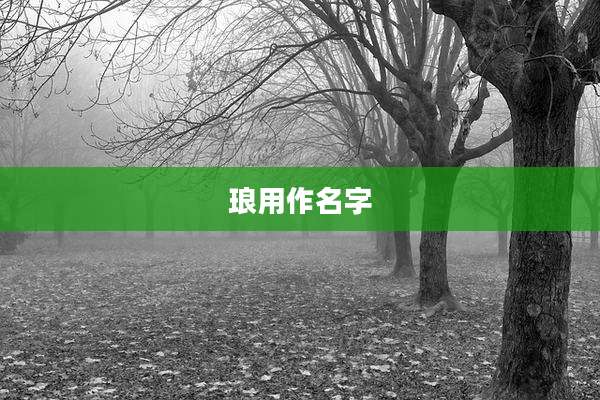 琅用作名字