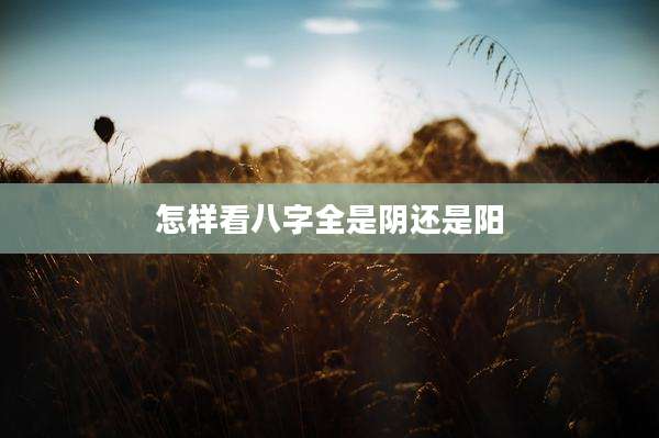怎样看八字全是阴还是阳