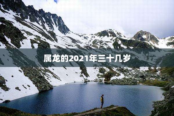 属龙的2021年三十几岁